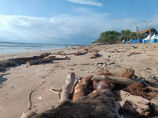 Rincon Beach County Park