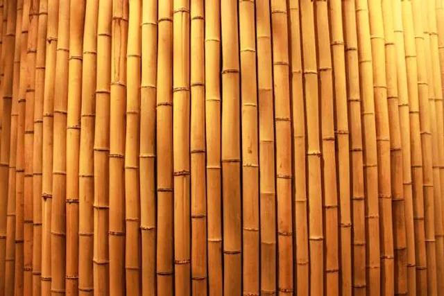 Japan House São Paulo