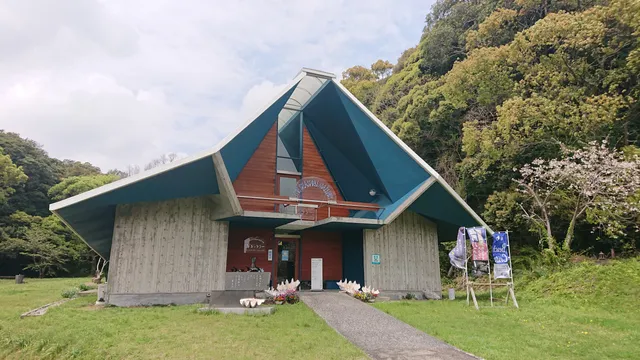 The Seashell Gallery