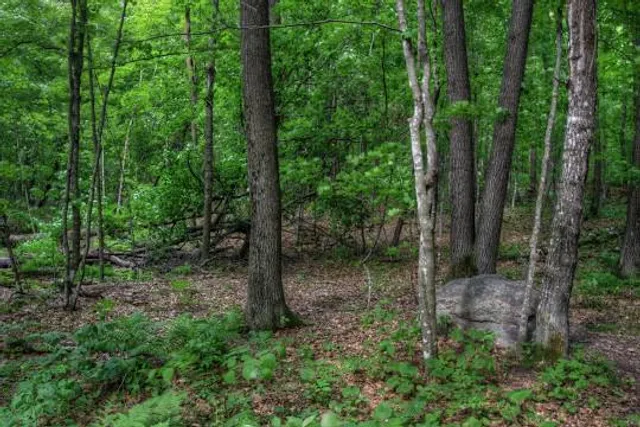 Mille Lacs Kathio State Park