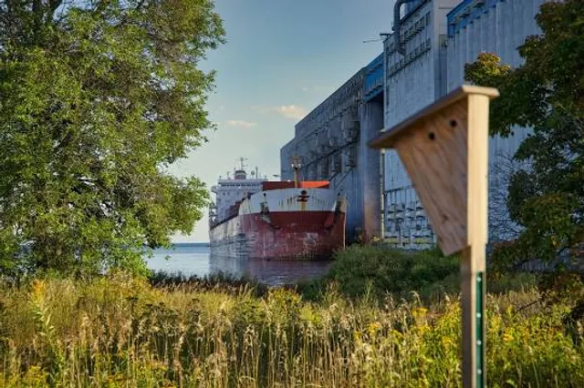 Shore Shot Pistol Range