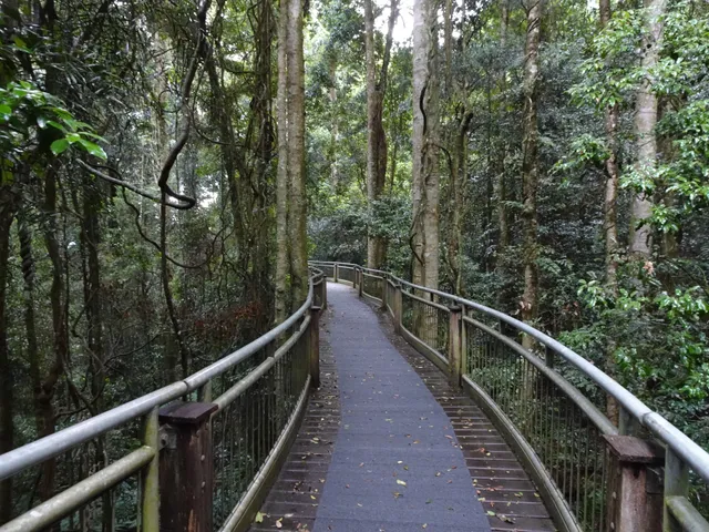 Walk with the Birds boardwalk
