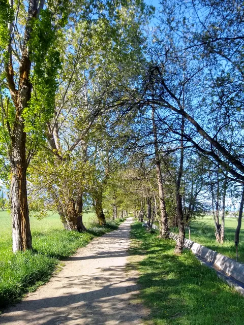 Camino de los Enamorados