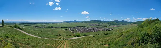 Halbtrockenrasen am Schwanberg