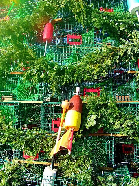 Stonington Lobster Trap Tree