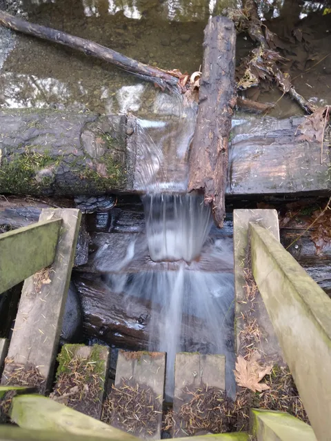 photo-2