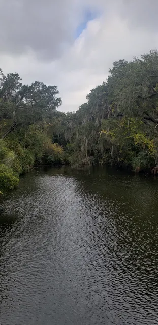 Amelia Island Nature Center