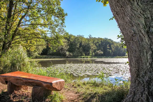 Vereinbarte Verwaltungsgemeinschaft der Stadt Uhingen