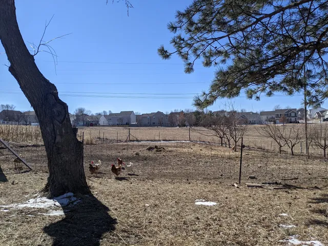 Omaha’s High Ground: A Healthy Market Garden