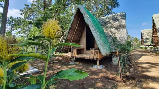 ELJOY'S FOREST RESORT