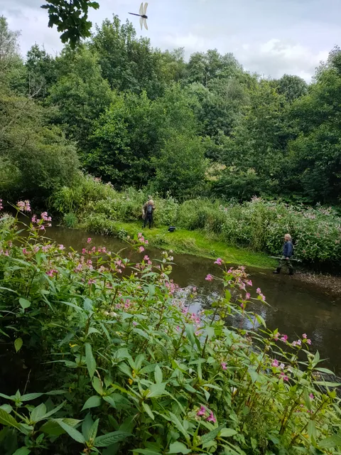 photo-1
