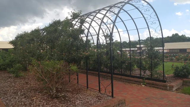 Wilson Recreation Director