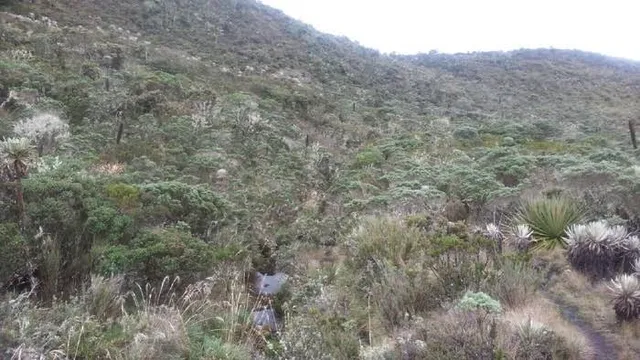 Natural Chingaza - Punto de Atención Piedras Gordas National Park