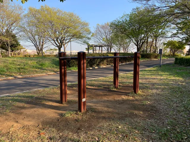 Ojima Komatsugawa Park Kaze No Hiroba