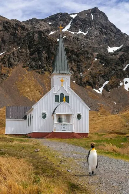 South Georgia Museum