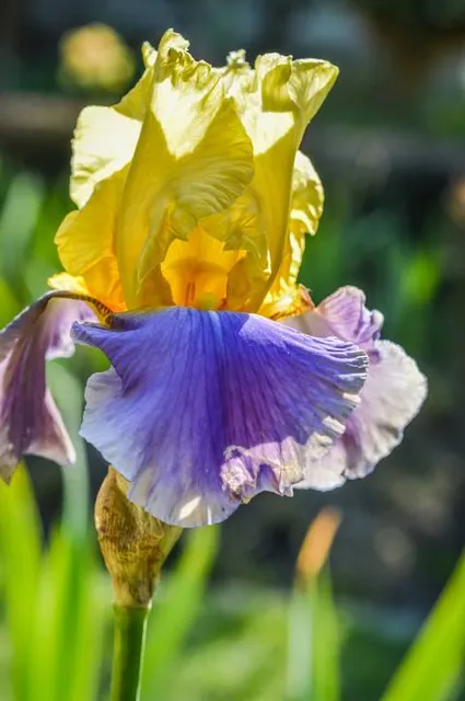 Parque do Povo Presidente Prudente