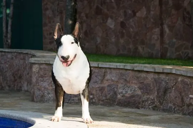 CRYSTAL AC RESORT GLAN