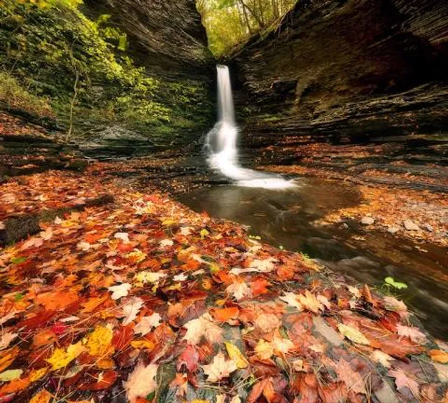 Excelsior Glen Trail