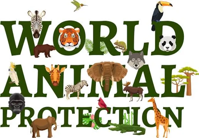 Branson's Wild World