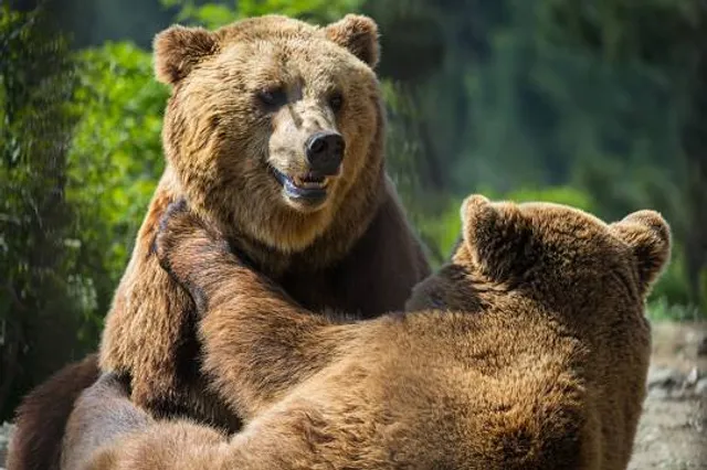 Ecological park Serra da Lousã