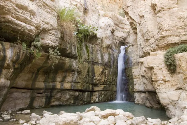 Ein Gedi Eco Park