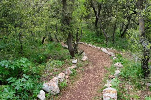 Ajloun Forest Reserve