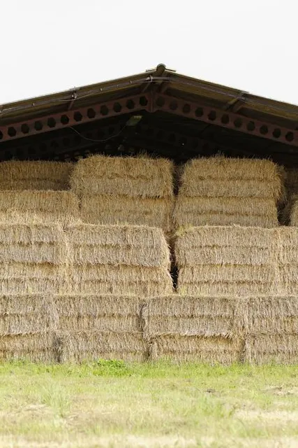 Beit Ha'Dvash Ve Ha'Dvora