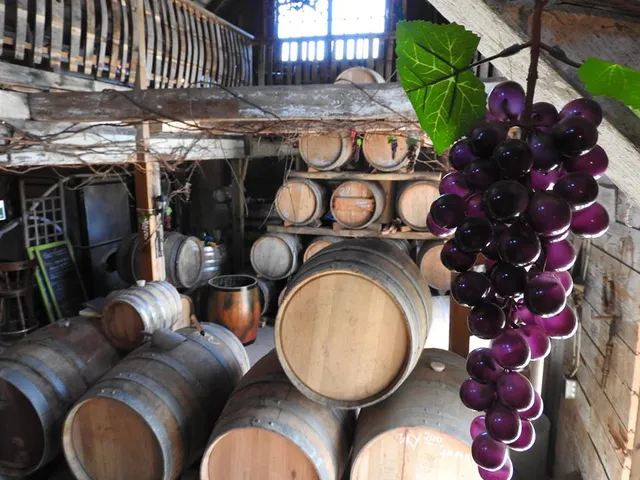 Black Prince Winery & Canadian Vinegar Cellars featuring Barrel House Wood-Fired Pizza + County Disc Golf