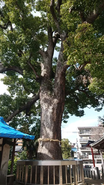 Sugaharatenmangu Park