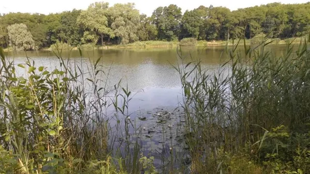 Wulsdorfer Baggerkuhle