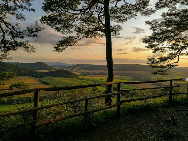 Thüringer Urwaldpfade