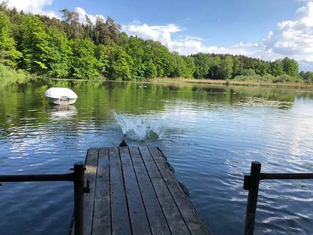 Steinibühlweiher