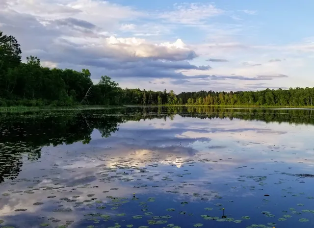 Two Inlets State Forest