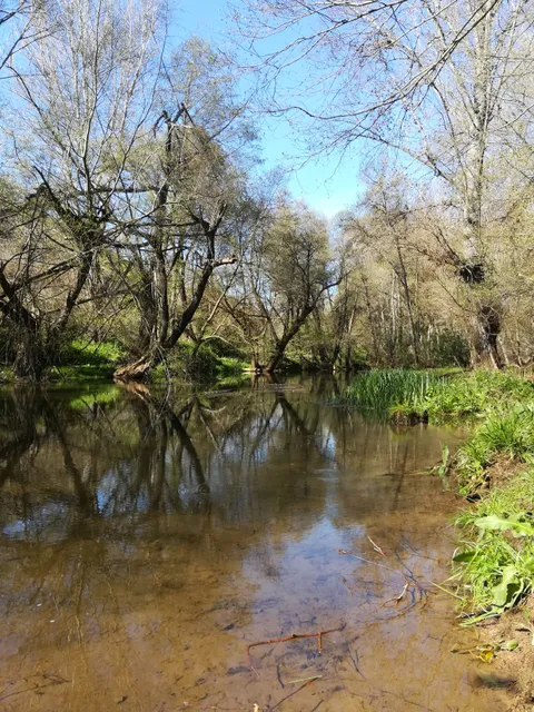 Ruta Molino del Corcho