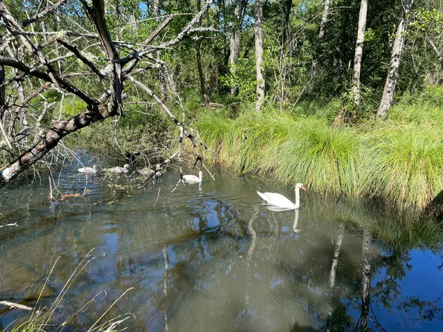 Réserve naturelle du marais de Groléjac