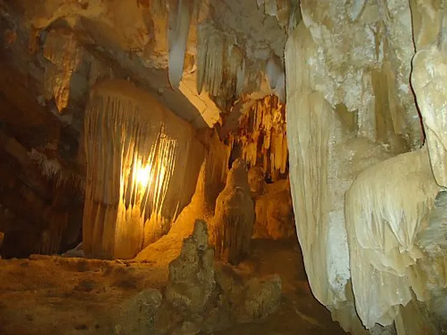 Thung Nham Bird Valley