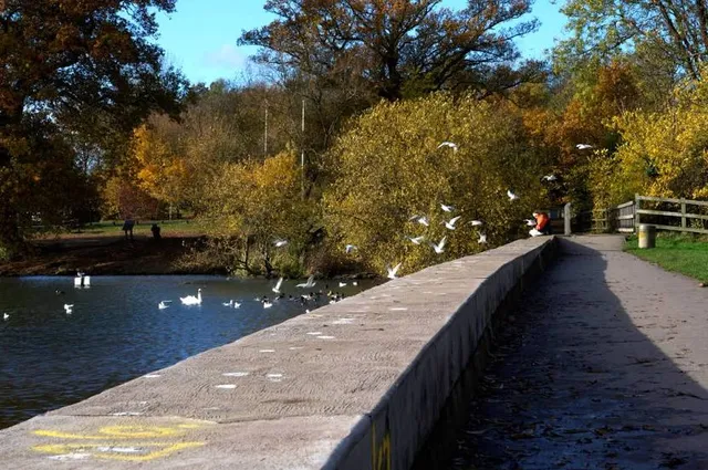 Aldenham Country Park