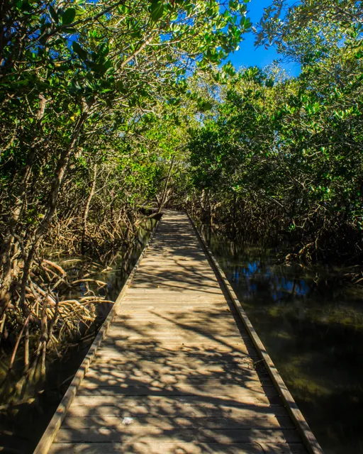 Tweed Heads Historic Site