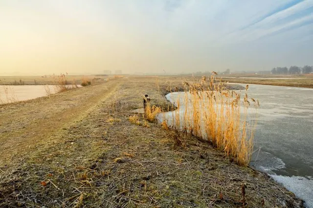 Munnikkenpolder