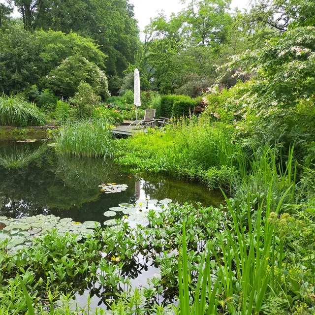 Garten & Kunst Carola Rückert