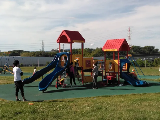 photo-1