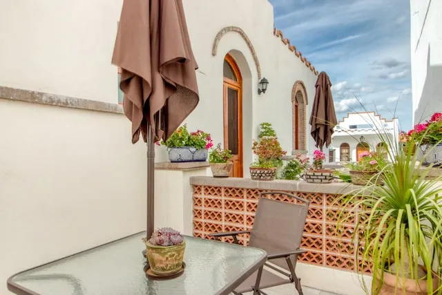 Collection O Casa Constanza