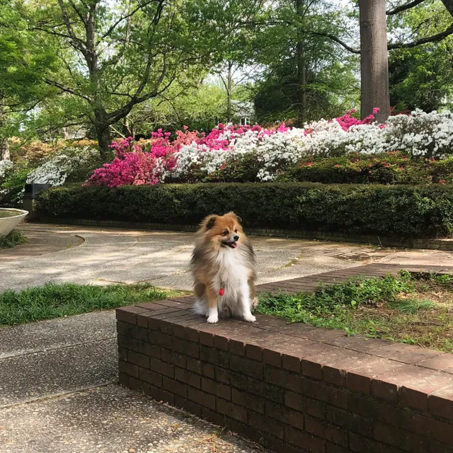 Come See Me Festival