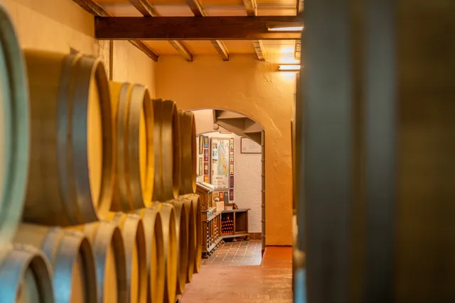 Château les Tuileries