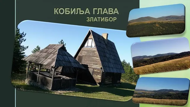 Kobilja Glava, Zlatibor