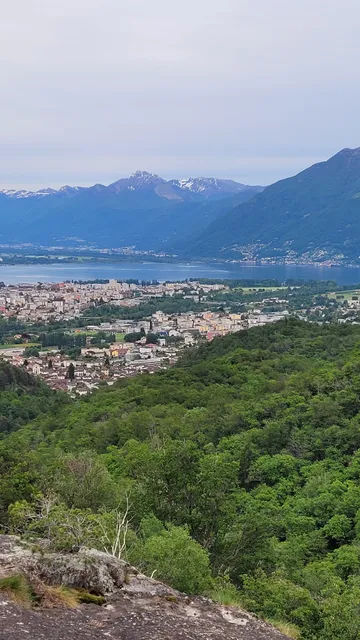 Parco del Bosco di Maia