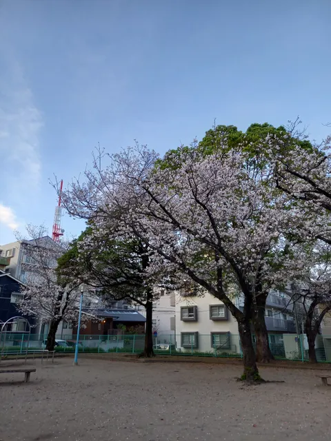Murasakibaru Central Park