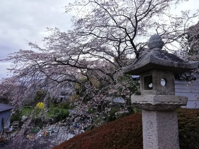 photo-2