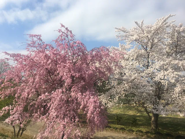 Matsukawa Sports Park