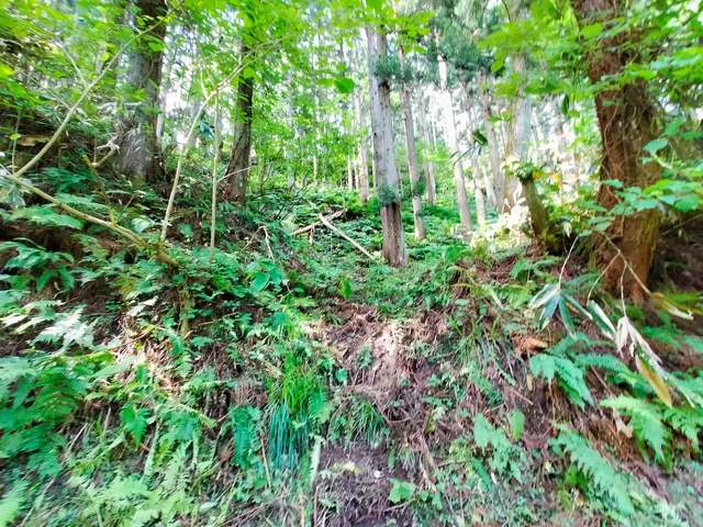 Site of Sakenobe Castle